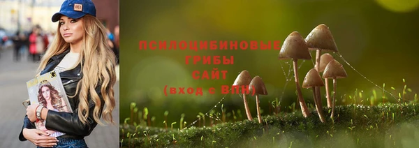 кристаллы Алзамай