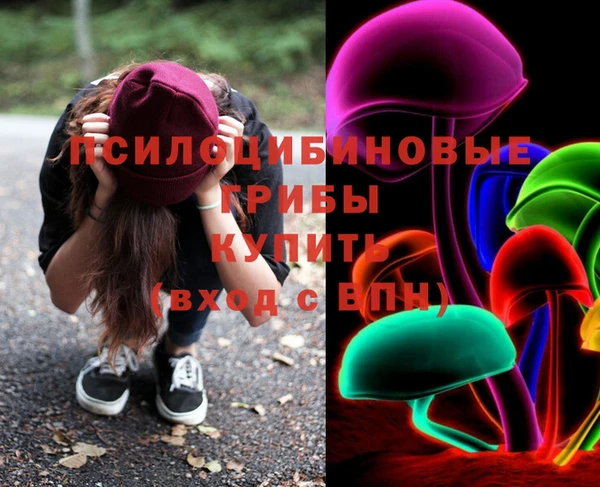 стаф Алексеевка