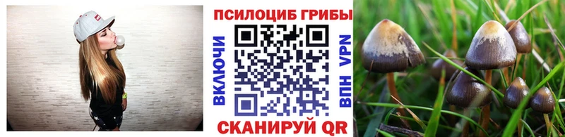 купить наркотики сайты  Уфа  Галлюциногенные грибы мицелий 